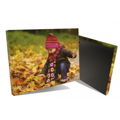 QuickPro Canvas 12x16 complete with backboard